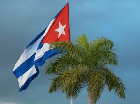 20190101MVH 09 Bandera Cubana y palma real 580x432